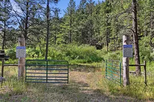 Spiritwood Ln, Bellvue, CO 80512 - Photo 1