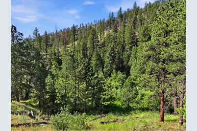 Spiritwood Ln, Bellvue, CO 80512 - Photo 31