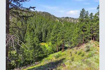 Spiritwood Ln, Bellvue, CO 80512 - Photo 11