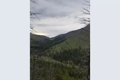 Spiritwood Ln, Bellvue, CO 80512 - Photo 39