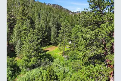 Spiritwood Ln, Bellvue, CO 80512 - Photo 5