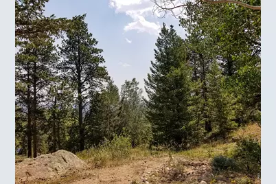 107 Miami Ct, Red Feather Lakes, CO 80545 - Photo 39