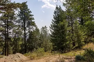 107 Miami Ct, Red Feather Lakes, CO 80545 - Photo 39