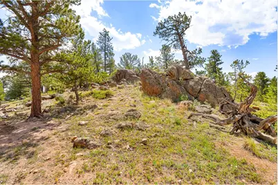 107 Miami Ct, Red Feather Lakes, CO 80545 - Photo 5
