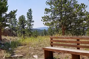 107 Miami Ct, Red Feather Lakes, CO 80545 - Photo 37