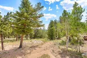 107 Miami Ct, Red Feather Lakes, CO 80545 - Photo 3