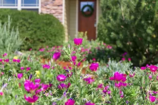 4226 Rolling Gate Rd, Fort Collins, CO 80526 - Photo 37