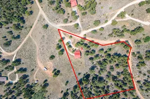 296 Caddo Rd, Red Feather Lakes, CO 80545 - Photo 37
