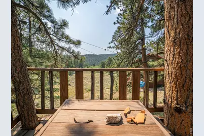 296 Caddo Rd, Red Feather Lakes, CO 80545 - Photo 43