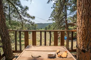 296 Caddo Rd, Red Feather Lakes, CO 80545 - Photo 43