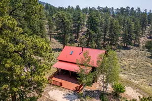 296 Caddo Rd, Red Feather Lakes, CO 80545 - Photo 31