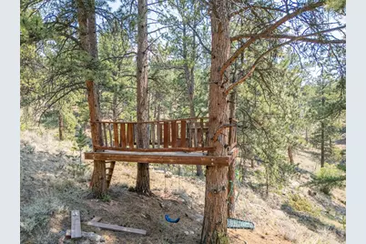 296 Caddo Rd, Red Feather Lakes, CO 80545 - Photo 43