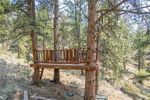 296 Caddo Rd, Red Feather Lakes, CO 80545 - Photo 43