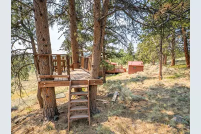296 Caddo Rd, Red Feather Lakes, CO 80545 - Photo 41