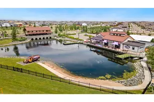 2290 Setting Sun Dr, Windsor, CO 80550 - Photo 17