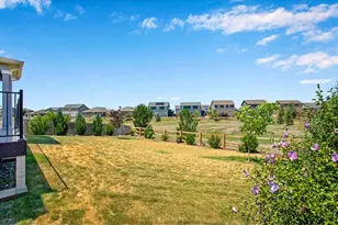 912 Charlton Dr, Windsor, CO 80550 - Photo 43