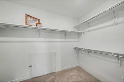 5548 Runge Ct, Timnath, CO 80547 - Photo 19