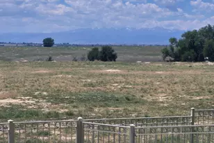 9240 Co Rd 54, Milliken, CO 80543 - Photo 37