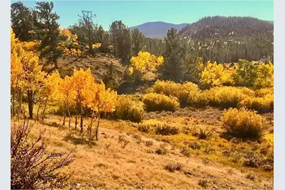 3689 Ottawa Way, Red Feather Lakes, CO 80545 - Photo 27