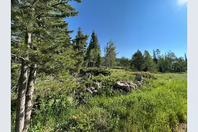506 Elkridge Rd, Red Feather Lakes, CO 80545 - Photo 17