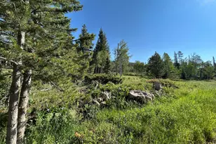 506 Elkridge Rd, Red Feather Lakes, CO 80545 - Photo 17