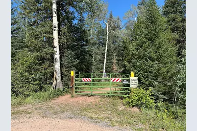 506 Elkridge Rd, Red Feather Lakes, CO 80545 - Photo 25