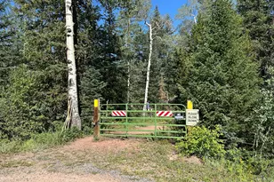 506 Elkridge Rd, Red Feather Lakes, CO 80545 - Photo 25