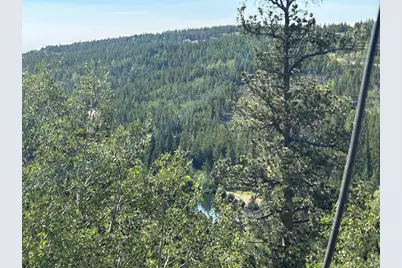 506 Elkridge Rd, Red Feather Lakes, CO 80545 - Photo 5