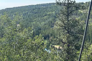 506 Elkridge Rd, Red Feather Lakes, CO 80545 - Photo 5
