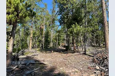 506 Elkridge Rd, Red Feather Lakes, CO 80545 - Photo 15