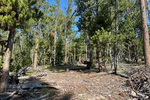 506 Elkridge Rd, Red Feather Lakes, CO 80545 - Photo 15