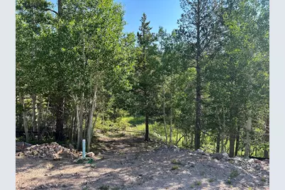 506 Elkridge Rd, Red Feather Lakes, CO 80545 - Photo 3
