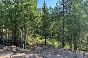 506 Elkridge Rd, Red Feather Lakes, CO 80545 - Photo 3