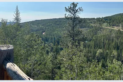 506 Elkridge Rd, Red Feather Lakes, CO 80545 - Photo 13
