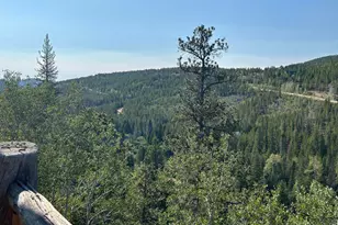 506 Elkridge Rd, Red Feather Lakes, CO 80545 - Photo 13