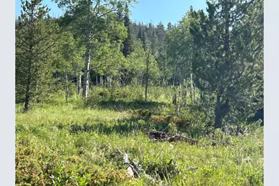 506 Elkridge Rd, Red Feather Lakes, CO 80545 - Photo 19