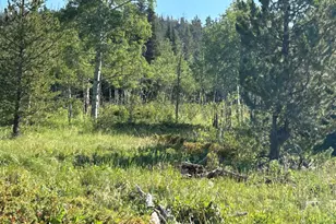 506 Elkridge Rd, Red Feather Lakes, CO 80545 - Photo 19