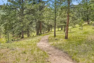 575 Reed Ranch Rd, Boulder, CO 80302 - Photo 43