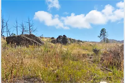 981 Palisade Mountain Dr, Drake, CO 80515 - Photo 9