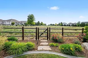 5661 Mid Pointe Dr, Windsor, CO 80550 - Photo 35