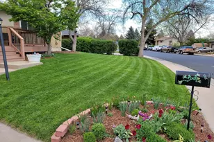 2313 Farisita Dr, Loveland, CO 80538 - Photo 29