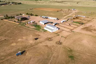 22630 Co Rd 49, La Salle, CO 80645 - Photo 5