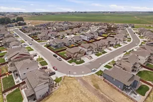 375 Aurelia Dr, Windsor, CO 80550 - Photo 37