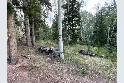 401 Blackfoot Rd, Red Feather Lakes, CO 80545 - Photo 27
