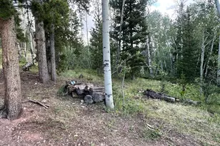401 Blackfoot Rd, Red Feather Lakes, CO 80545 - Photo 27