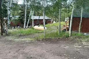 401 Blackfoot Rd, Red Feather Lakes, CO 80545 - Photo 29