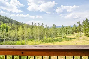 62 Algonkin Ct, Red Feather Lakes, CO 80545 - Photo 39