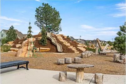5018 Leopold Ln, Timnath, CO 80547 - Photo 45