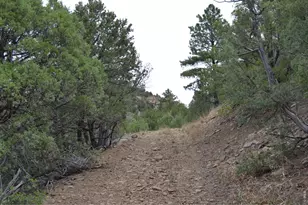 17001 Peacock Rd, Trinidad, CO 81082 - Photo 37