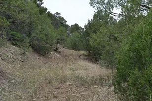 17001 Peacock Rd, Trinidad, CO 81082 - Photo 29